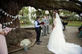 Weddings Events Oak Tree Wedding Wedding Events Wedding Planner