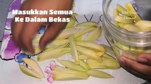 Resepi kek batik tanpa milo 11. Resepi Jeruk Betik Tanpa Cuka