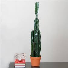 The top is one species, the bottom is another. Northlight Southwestern Style Decorative Artificial Potted Cactus 34 32606909 Rona