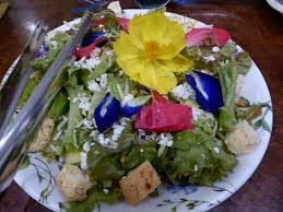 What flowers are edible in salads. Salad With Edible Flowers Picture Of The Buzzz Cafe By Bohol Bee Farm Cebu Island Tripadvisor