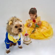 the beast dog halloween costume dog halloween costume the beast beauty and the beast costume for boy dog the beast puppy costume dog halloween costumes dog halloween puppy halloween costumes