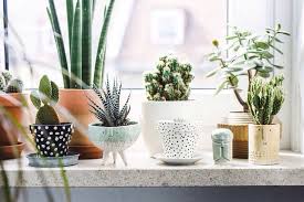 13 Unexpected Ways To Decorate With Plants Living Room Plants Decor Plant Decor Living Room Plants