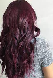 12 wine red hair suggestions & solutions. Your Plum Hair Color Guide 57 Posh Plum Hair Color Ideas Dye Tips