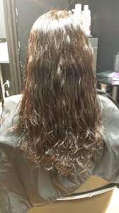 Brazilian Blowout Exposed The Furry Couch