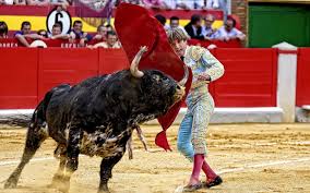 Bullfighting Sports Men People Spain Spanish Action Animals Bulls Photography Wallpaper 1920x1200 22751 Wallpaperup Looking for the best spain wallpaper 2018? bullfighting sports men people spain