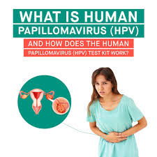 Image result for human papillomavirus symptoms