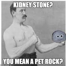 Kidney Stones Memes Gifs Imgflip