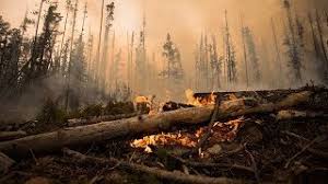 Learn how to be prepared. B C Wildfires Military Called In As Smoke Chokes Province Youtube