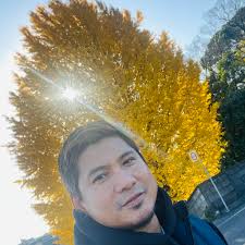 What is the experience with Uber flat rate in Japan?