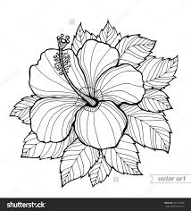 Pin On Adult Coloring Pages