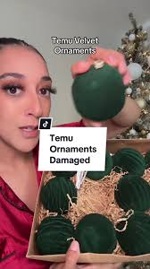 Damaged Box from Temu Infinity Hoop