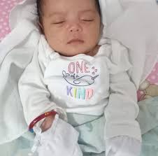 BerklyN Electronic Supplies and Services Manila