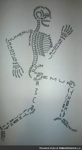 Skeleton Drawn Using Bone Names Funsubstance Science Drawing Medical Tattoo Biology Art