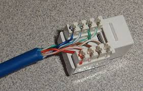 Since january 1st 2015 all new trailers (exceptions apply) need to. Wiring Cat5 Wall Plate Auto Wiring Diagram Conductor Error Conductor Error Plus Haus It