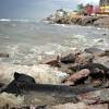 Story image for israel water from Haaretz