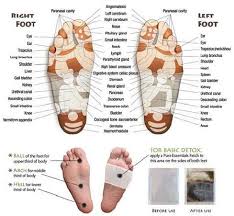 Pin Von Robin Walker Auf Health Reflexzonenmassage Fussreflexzonenmassage Reflexzonen