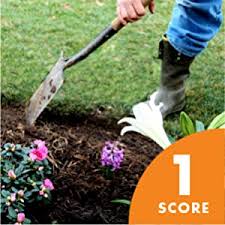 Clever garden bed edging ideas | the garden! Amazon Com Dimex Easyflex Plastic No Dig Landscape Edging Kit 100 Feet 3000 100c Garden Outdoor