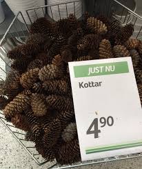 Image result for site:byggahus.se braständare