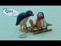 Bilderesultat for Pingu Official YouTube Channel