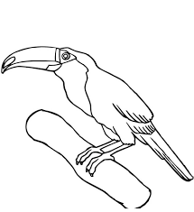 Check spelling or type a new query. Toucan On A Branch 1 Coloring Page Free Printable Coloring Pages For Kids