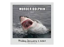 Some of the best memes out there are animal memes — if not for their weirdly hilarious behavior, then definitely for their irresistible cuteness. 2021 Animal Memes Daily Desk Block Calendar Walmart Com Walmart Com