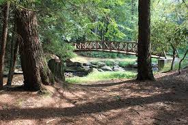 113 river road cooksburg, pa 16217. Cook Forest State Park Cooksburg 2021 All You Need To Know Before You Go With Photos Tripadvisor