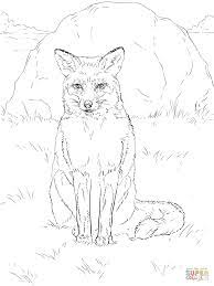 Sightings are the most obvious way to know that fox are in the area, but the presence of scat, tracks, and hair are also good clues. Sitting Red Fox Coloring Page Free Printable Coloring Pages Fox Coloring Page Fox Coloring Fox Coloring Pages