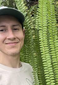 Best ferns to grow indoors: 5 expert picks