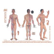 Buy Monteggia Cupping Body Acupuncture Points Chart In Cheap