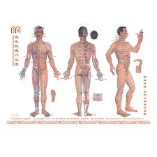 buy monteggia cupping body acupuncture points chart in cheap