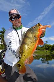 Check spelling or type a new query. Peacock Bass Fishing Cap Hats Caps Accessories Valresa Com