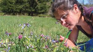 GARRY OAK GARDENER'S