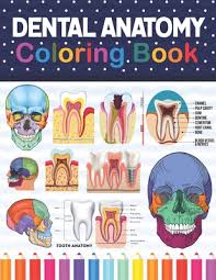 A skull is a structure which forms a head. Dental Anatomy Coloring Book Dental Anatomy Coloring Book For Kids Dental Teeth Anatomy Coloring Pages For Kids Toddlers Teens Human Body Anatom Paperback West Side Books