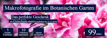 Maybe you would like to learn more about one of these? Makrofotografie Im Botanischen Garten Gutschein Das Perfekte Geschenk