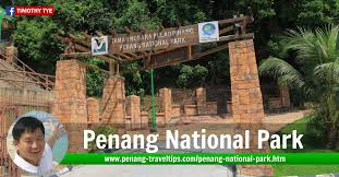 If you fancy our suggestion of doing both trails and connect them by boat then you. Penang National Park Teluk Bahang