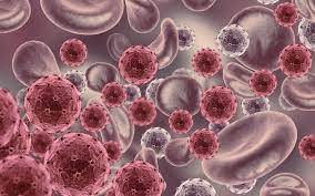 A virus that is outside of a host cell is known as a virion. Wat Is Een Virus Over De Mysterieuze Grens Tussen Leven En Levenloosheid Dagblad Van Het Noorden