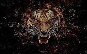 Papel de parede gratuito para decoração de seu pc. Foto De Papel De Parede 1600x900 Vida Selvagem Tigre De Bengala Tigre Baixar Gratis 4k Best Of Wallpapers For Andriod And Ios