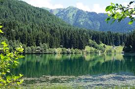 4 days in savsat by a user from united states lake çıldır karagol seytan kalesi 27 days in turkey by a user from turkey bolu akcakoca zonguldak 16 days in artvin & savsat by a user from turkey artvin savsat 17 days in turkish black sea coast by a user from portugal trabzon camlihemsin savsat 9 days in turkey. Artvin Savsat Karagol Sahara Milli Parki Ve Laset Otel