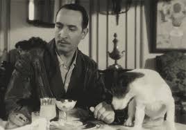 Jean dujardin the artist in the 1920s, actor george valentin (jean dujardin) is a bona fide matinee idol with many adoring fans. Gif The Artist Uggie Jean Dujardin Animated Gif On Gifer