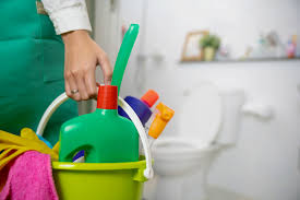 Bathroom or Toilet Deep Cleaning Service in Kamothe