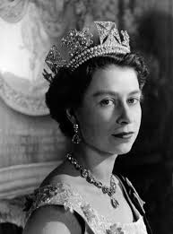 Matthew Poxon (@matthewpoxon)