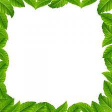 191 free vector graphics of leaf border. Leaves Border Png Images Vector And Psd Files Free Download On Pngtree