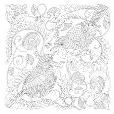Millie Marotta S Beautiful Birds And Treetop Treasures A Colouring Book Adventure 10 Amazon Co Uk Millie Marotta 9781849944434 Books It took me alsmost 2 hours to. beautiful birds and treetop treasures