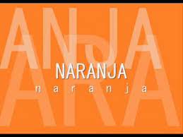 Cancion Del Color Naranja Preescolar 1 Canciones Color Naranja Naranja