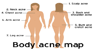 It is composed of many different types of cells that together create tissues and subsequently organ systems. Pin On Natural Health