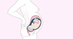Tipps und hinweise für die 33. Schwangerschaftswoche 33 Baby Und Familie