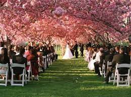 Bride On A Budget 20 Free Or Cheap Places To Get Married 2014 Coupon Karma Places To Get Married Outdoor Wedding Destinations Botanical Gardens Wedding