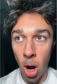 Tyler Vitelli Animal