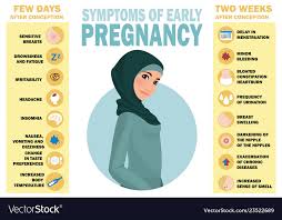 Symptoms Early Pregnancy Detailed Infographic Vector Image