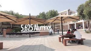 Uanl‏подлинная учетная запись @uanl 10 ч10 часов la comunidad de la facultad de medicina y hospital universitario dr. Facultad De Medicina Uanl Youtube
